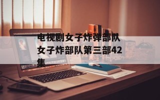 电视剧女子炸弹部队 女子炸部队第三部42集