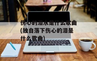 伤心的泪水是什么歌曲(独自落下伤心的泪是什么歌曲)