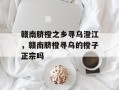 赣南脐橙之乡寻乌澄江，赣南脐橙寻乌的橙子正宗吗