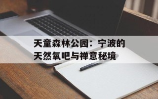 天童森林公园：宁波的天然氧吧与禅意秘境