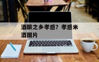 酒酿之乡孝感？孝感米酒图片