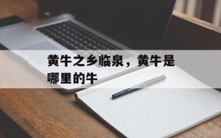 黄牛之乡临泉，黄牛是哪里的牛