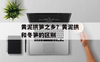 黄泥拱笋之乡？黄泥拱和冬笋的区别