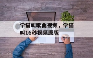 学猫叫歌曲视频，学猫叫16秒视频原版