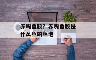 赤嘴鱼胶？赤嘴鱼胶是什么鱼的鱼泡