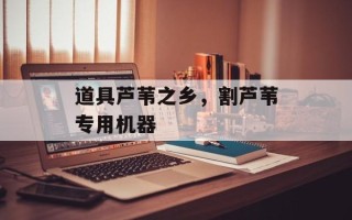 道具芦苇之乡，割芦苇专用机器