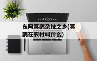东阿喜鹊杂技之乡(喜鹊在农村叫什么)