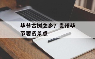 毕节古树之乡？贵州毕节著名景点