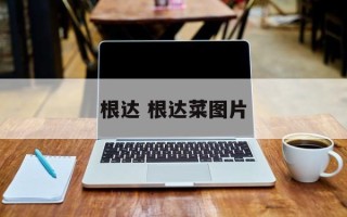 根达 根达菜图片