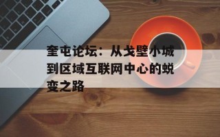 奎屯论坛：从戈壁小城到区域互联网中心的蜕变之路