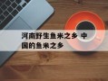 河南野生鱼米之乡 中国的鱼米之乡