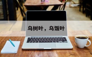 乌树叶，乌饭叶