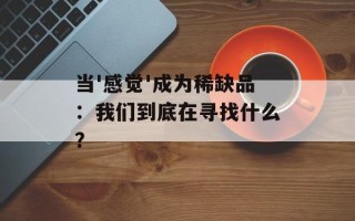 当'感觉'成为稀缺品：我们到底在寻找什么？