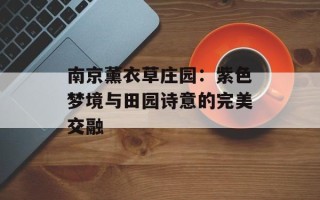 南京薰衣草庄园：紫色梦境与田园诗意的完美交融