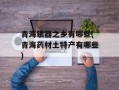 青海银器之乡有哪些(青海药材土特产有哪些)