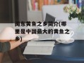 闽东黄鱼之乡简介(哪里是中国最大的黄鱼之乡)
