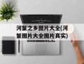河蟹之乡图片大全(河蟹图片大全图片真实)