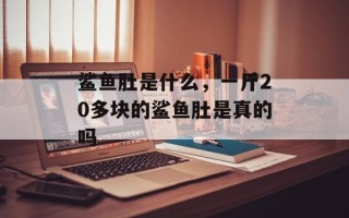 鲨鱼肚是什么，一斤20多块的鲨鱼肚是真的吗