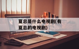 夏总是什么电视剧(有夏总的电视剧)