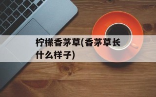 柠檬香茅草(香茅草长什么样子)