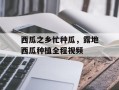 西瓜之乡忙种瓜，露地西瓜种植全程视频