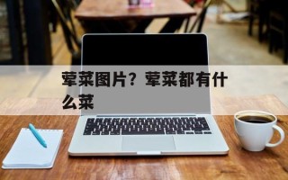 荤菜图片？荤菜都有什么菜