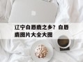 辽宁白唇鹿之乡？白唇鹿图片大全大图