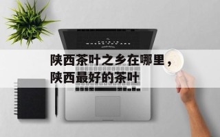 陕西茶叶之乡在哪里，陕西最好的茶叶
