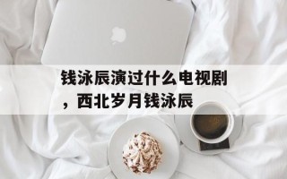 钱泳辰演过什么电视剧，西北岁月钱泳辰