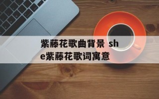 紫藤花歌曲背景 she紫藤花歌词寓意