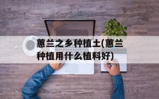 蕙兰之乡种植土(蕙兰种植用什么植料好)