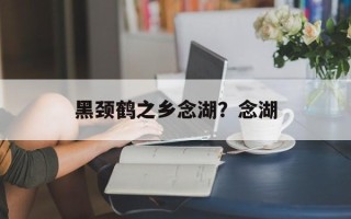 黑颈鹤之乡念湖？念湖