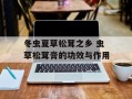 冬虫夏草松茸之乡 虫草松茸膏的功效与作用