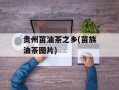 贵州苗油茶之乡(苗族油茶图片)