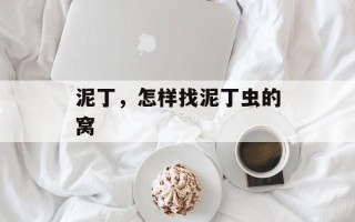 泥丁，怎样找泥丁虫的窝