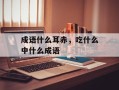 成语什么耳赤，吃什么中什么成语