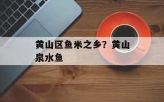 黄山区鱼米之乡？黄山泉水鱼