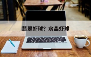 翡翠虾球？水晶虾球