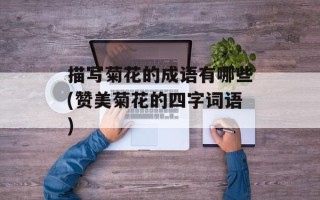 描写菊花的成语有哪些(赞美菊花的四字词语)