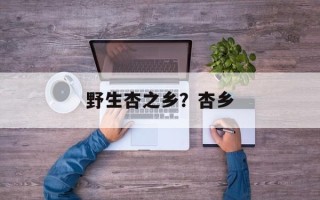 野生杏之乡？杏乡