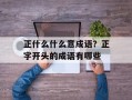 正什么什么意成语？正字开头的成语有哪些