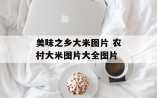 美味之乡大米图片 农村大米图片大全图片