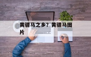 黄骠马之乡？黄骠马图片