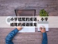 小字结尾的成语，小字结尾的成语接龙