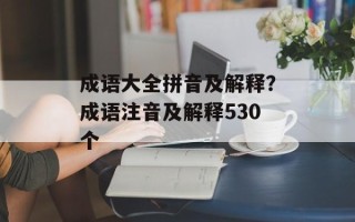 成语大全拼音及解释？成语注音及解释530个