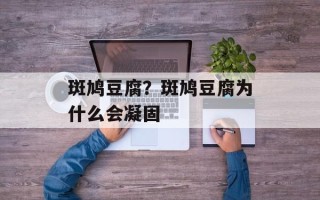 斑鸠豆腐？斑鸠豆腐为什么会凝固