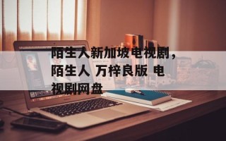 陌生人新加坡电视剧，陌生人 万梓良版 电视剧网盘