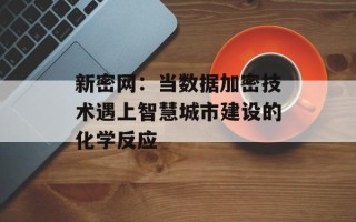 新密网：当数据加密技术遇上智慧城市建设的化学反应
