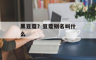 黑豆蔻？豆蔻别名叫什么