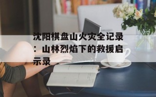 沈阳棋盘山火灾全记录：山林烈焰下的救援启示录